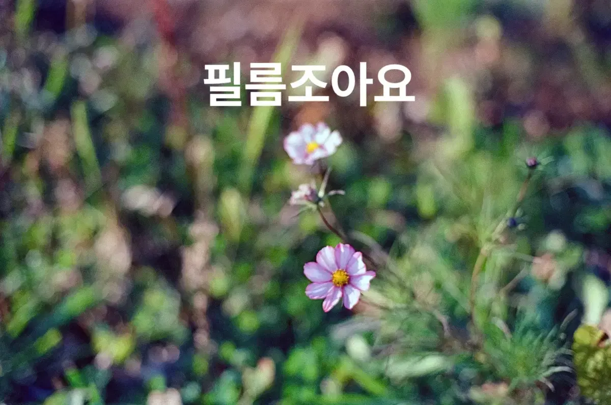 thumbnail-10